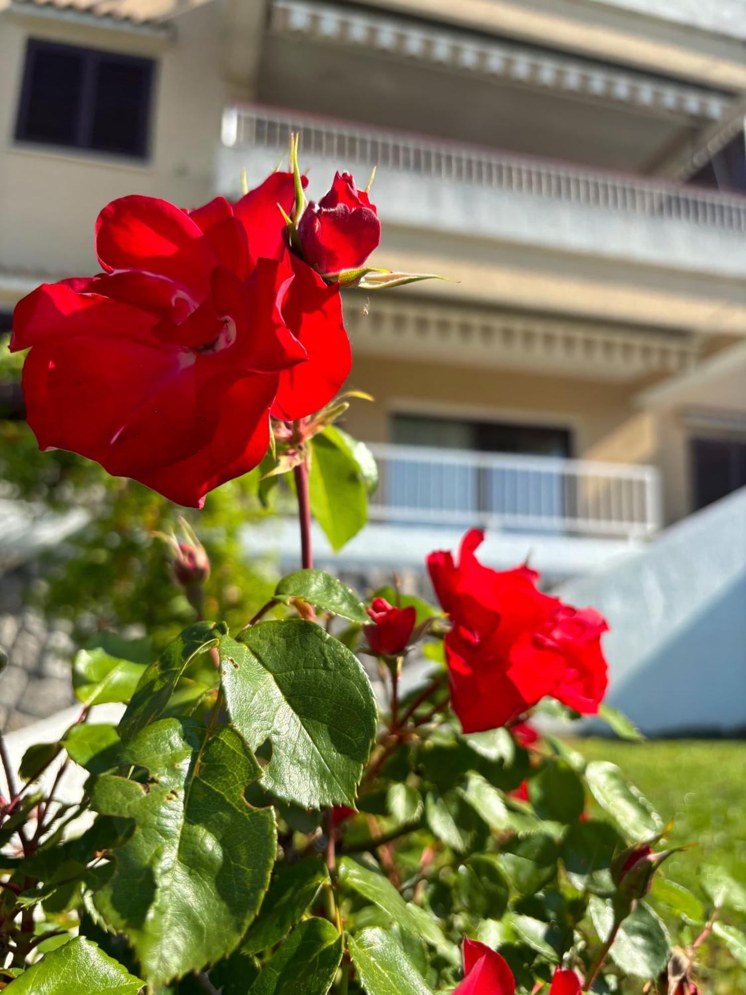 Va Kastav Apartment ภายนอก รูปภาพ